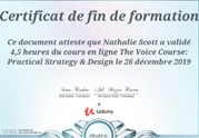 Certification The Voice Course: UX, UI, Strategy & Design